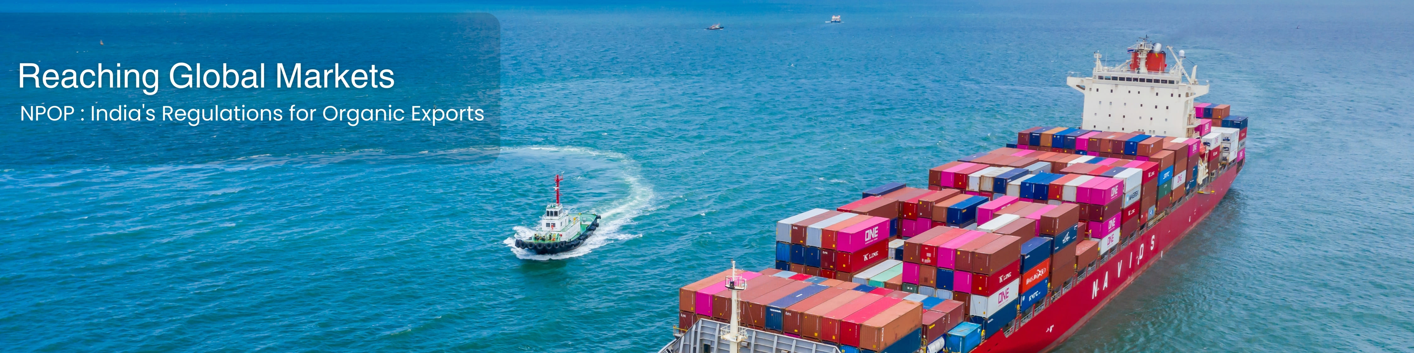 Reaching Global Market