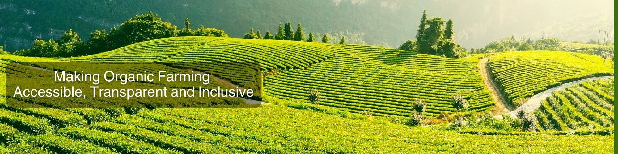 Making Organic Farmer